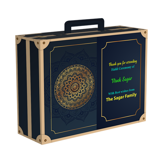 WD - Haldi - Suitcase - 24_1_-Frm_579962.png